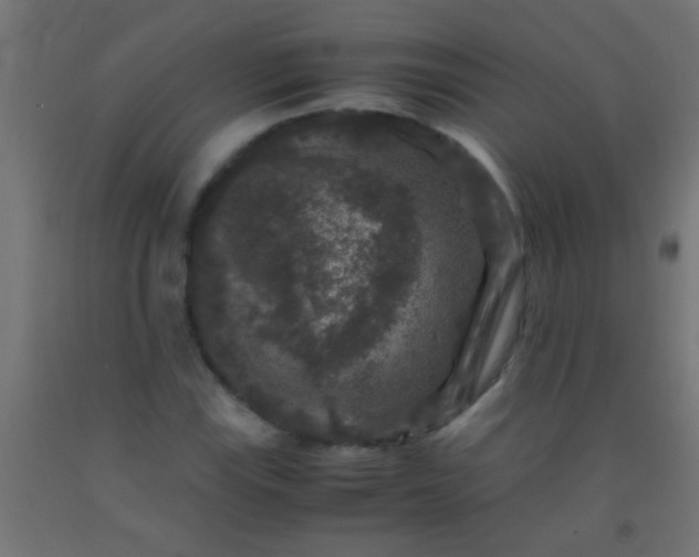 X0000092291115200709281300