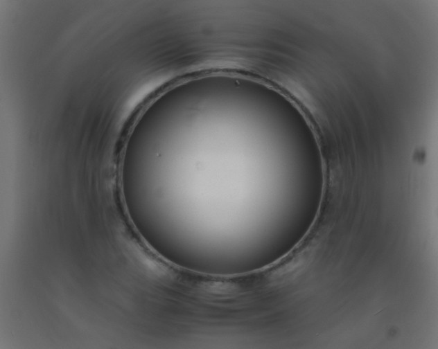 X0000092291119200709281300