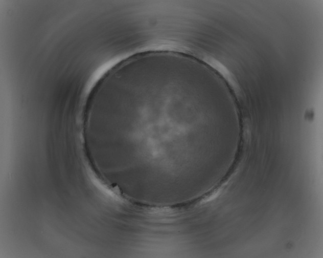 X0000092291120200709281300