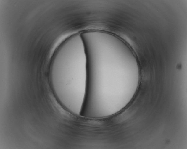 X0000092291123200709281300