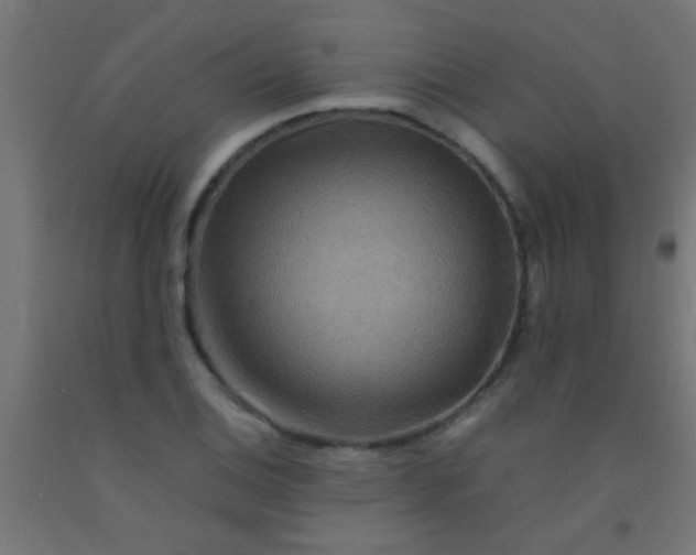 X0000092291124200709281300