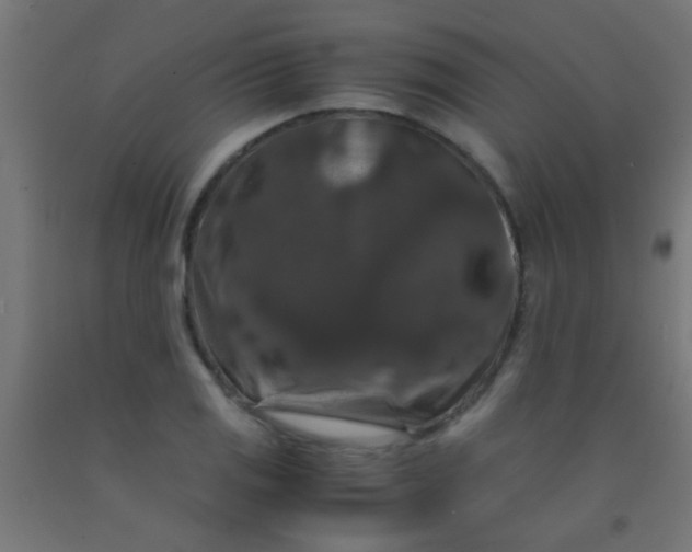 X0000092291125200709281300