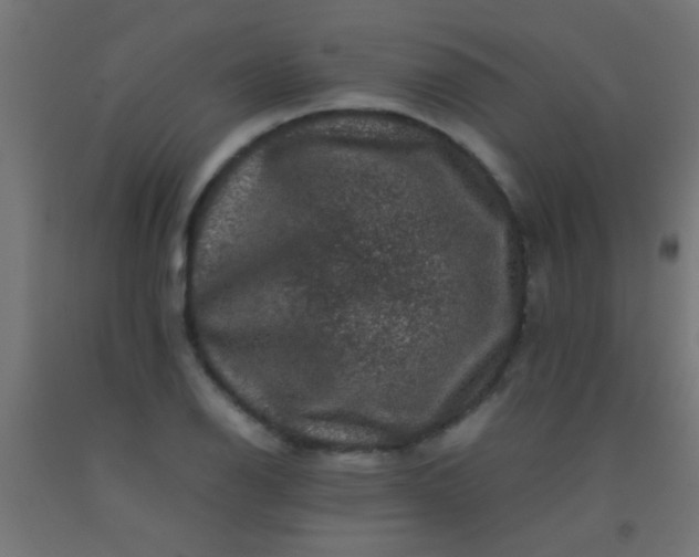 X0000092291126200709281300