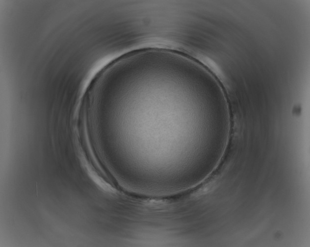 X0000092291128200709281300