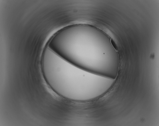 X0000092291132200709281301