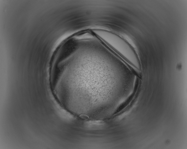 X0000092291133200709281301