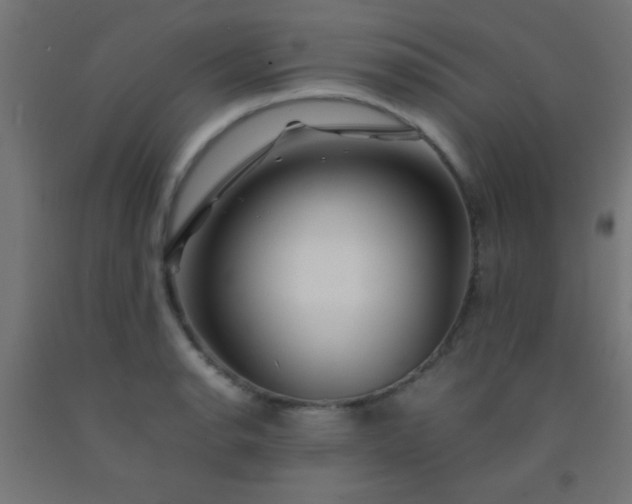 X0000092291134200709281301