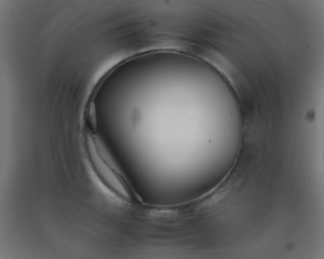 X0000092291135200709281301