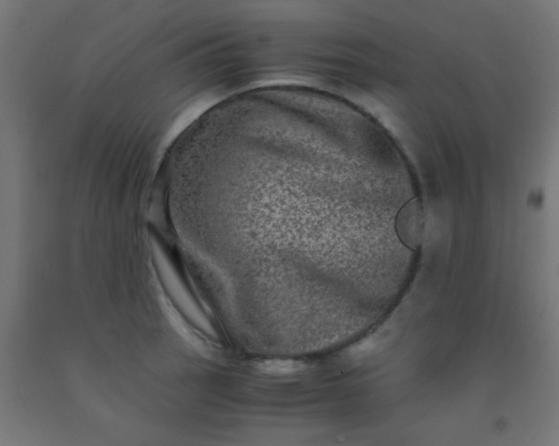 X0000092291137200709281301