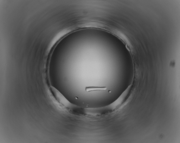 X0000092291138200709281301