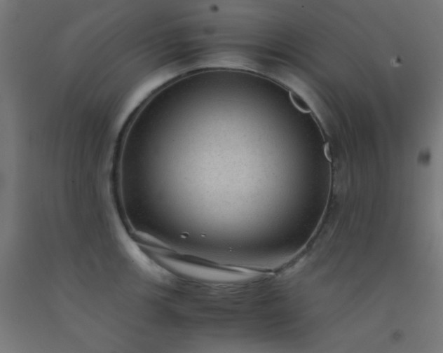 X0000092291139200709281301