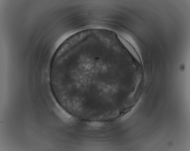 X0000092291141200709281301