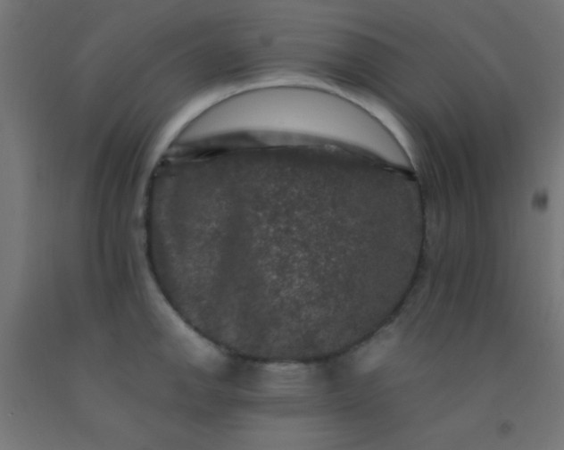 X0000092291142200709281301