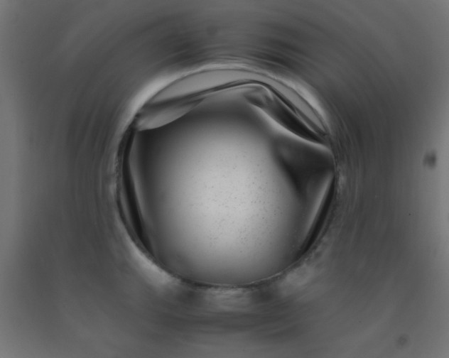 X0000092291143200709281301