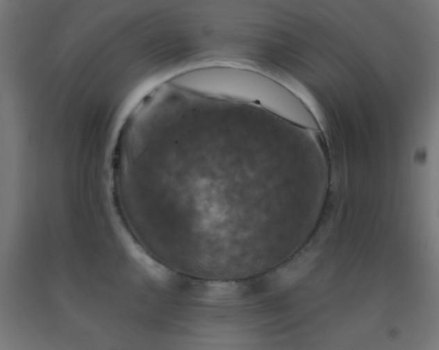 X0000092291144200709281301