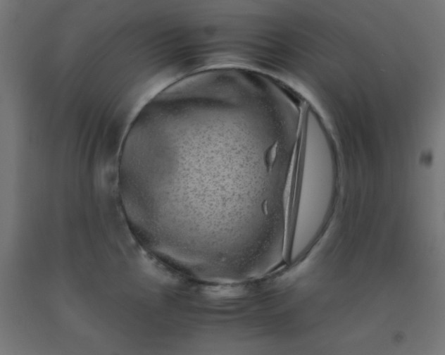 X0000092291145200709281301