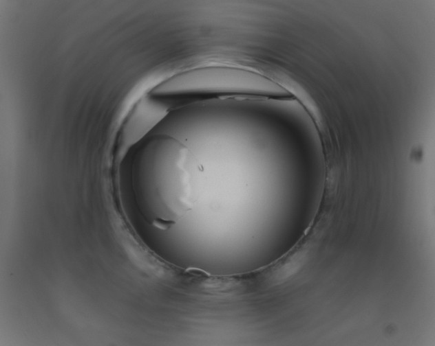 X0000092291146200709281301