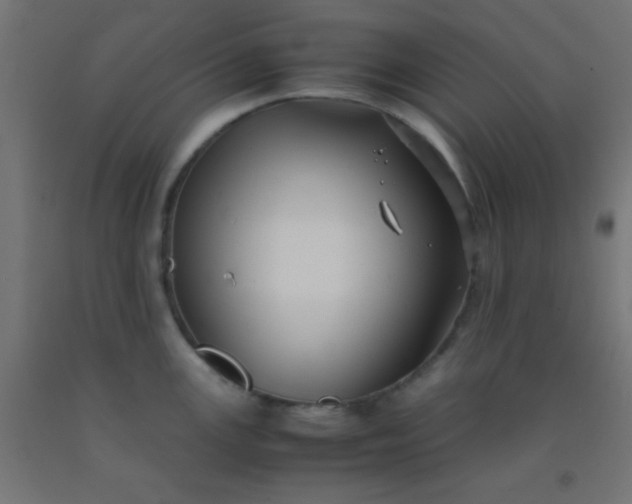 X0000092291147200709281301