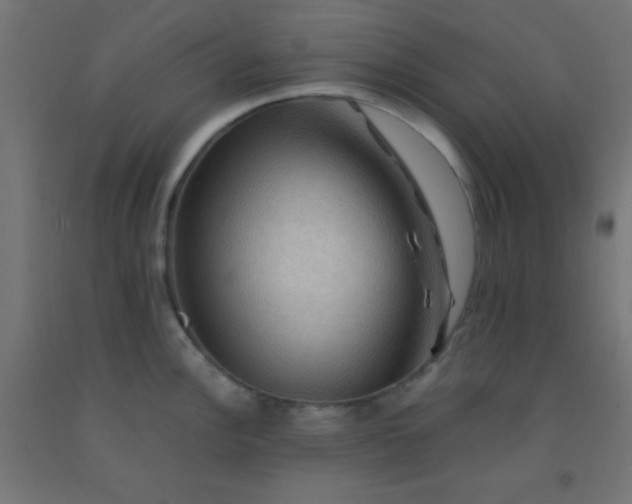 X0000092291148200709281301