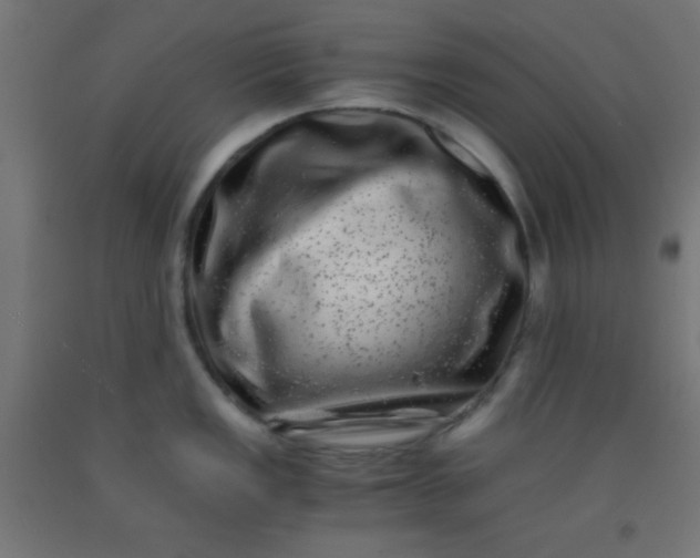 X0000092291149200709281301