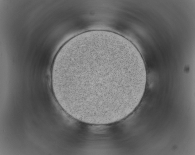 X0000092291150200709281301