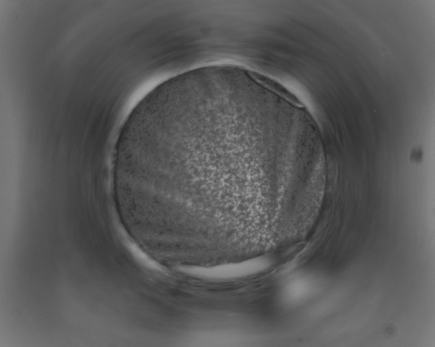 X0000092291151200709281301