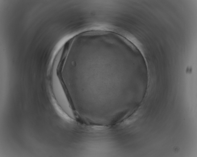 X0000092291152200709281301