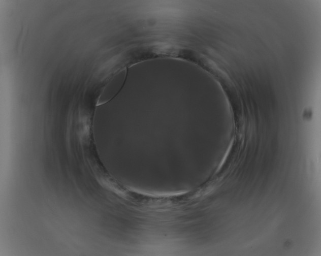 X0000092291154200709281300