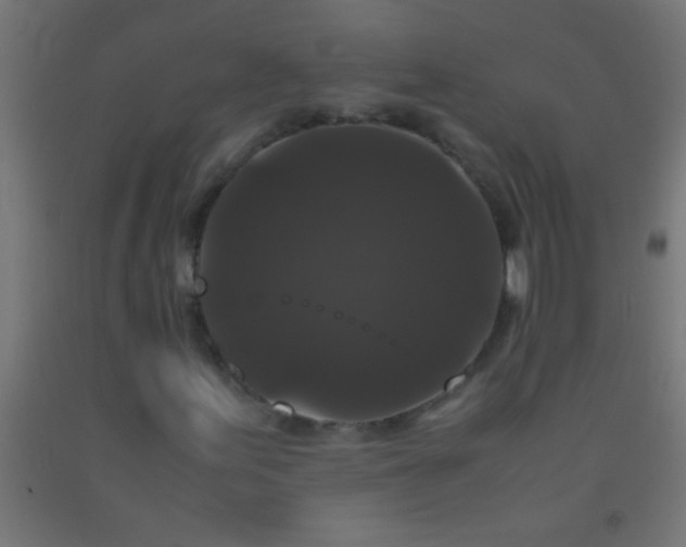 X0000092291155200709281300