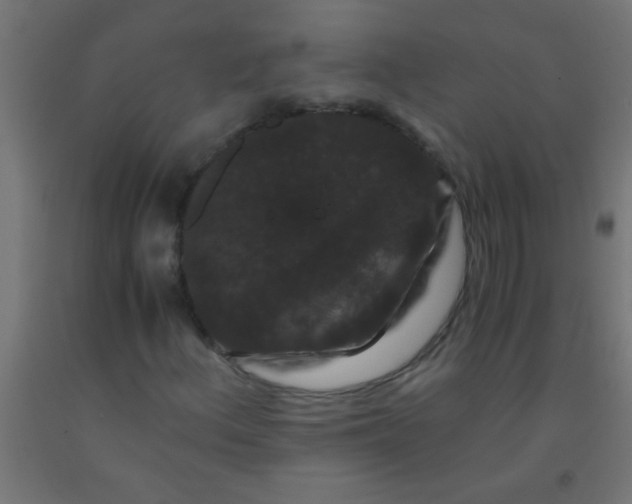 X0000092291156200709281300