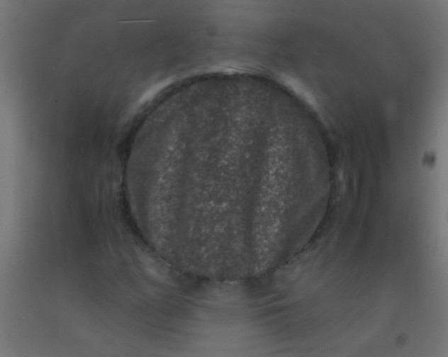 X0000092291158200709281300