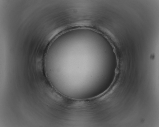 X0000092291162200709281300