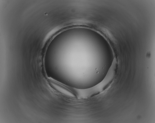 X0000092291164200709281300