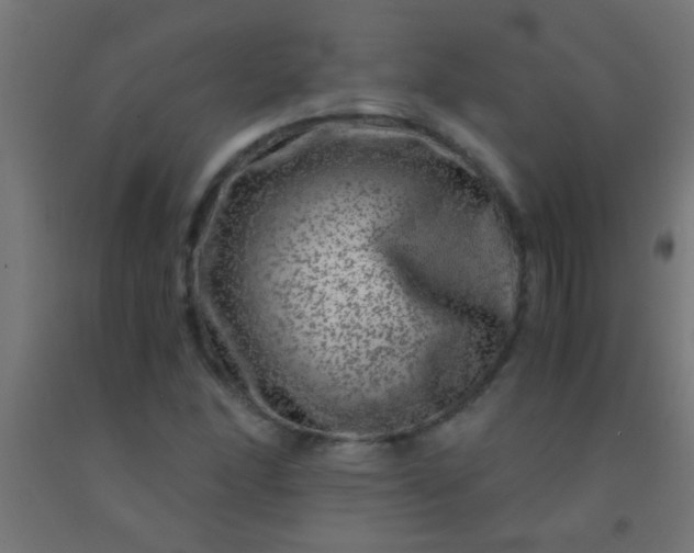 X0000092291166200709281300