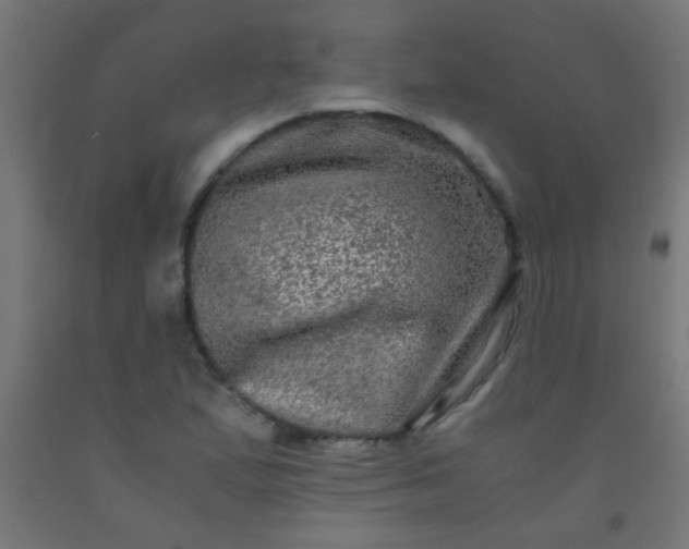 X0000092291167200709281300