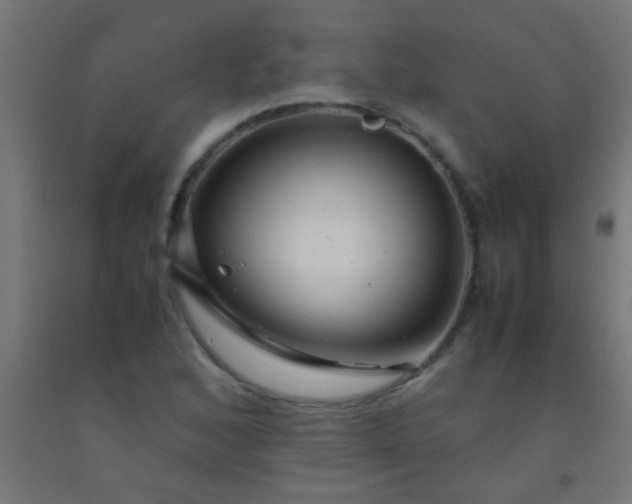 X0000092291168200709281300