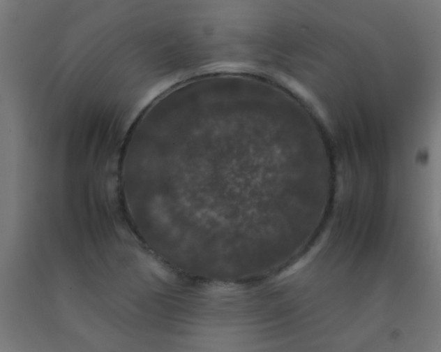 X0000092291170200709281300