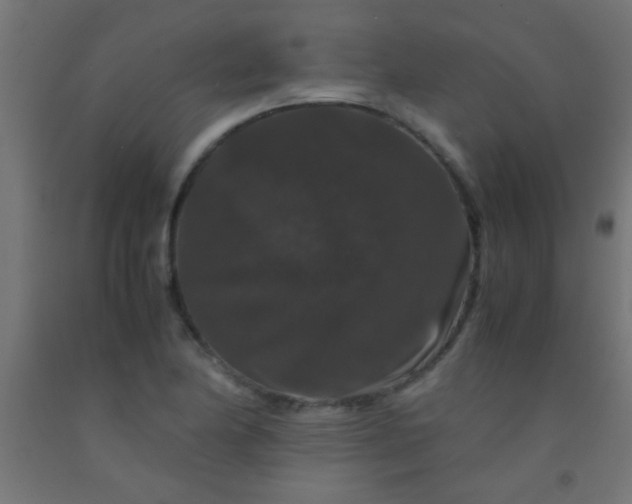 X0000092291174200709281300