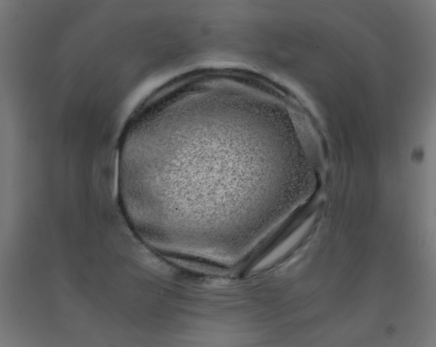 X0000092291175200709281300