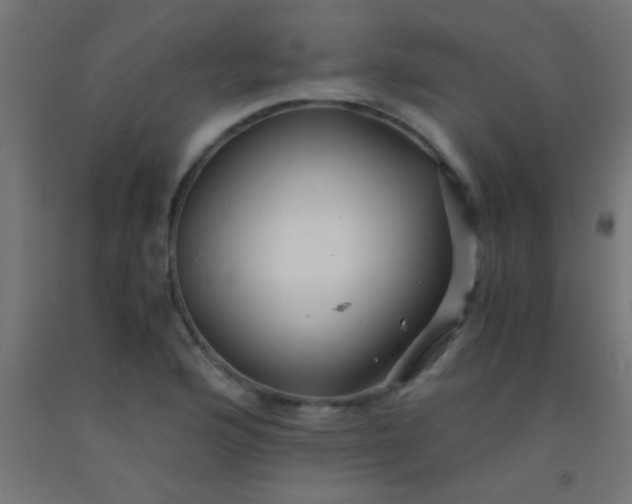 X0000092291176200709281300