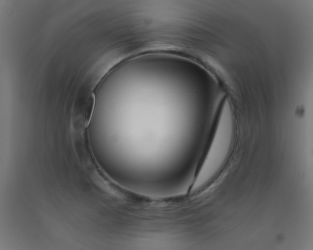 X0000092291177200709281300