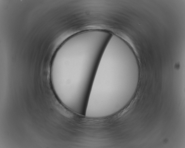 X0000092291179200709281300