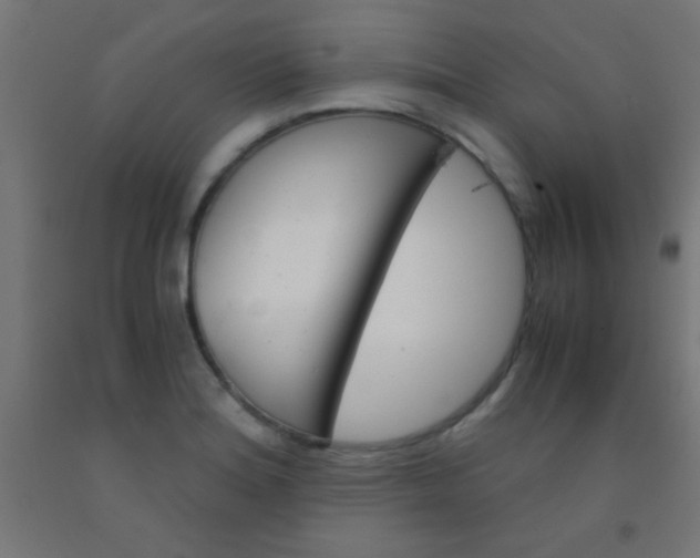 X0000092291180200709281300