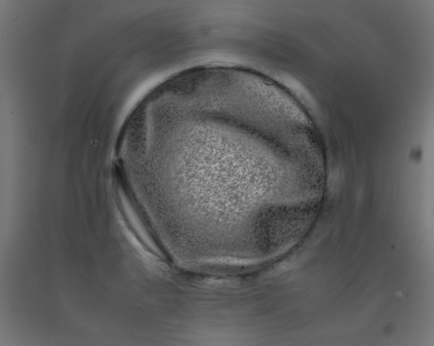 X0000092291183200709281300