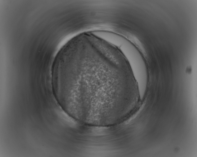 X0000092291184200709281300