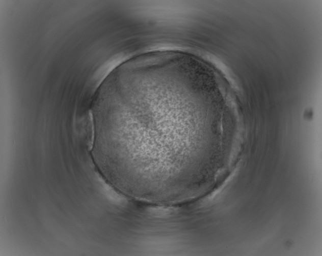 X0000092291185200709281300