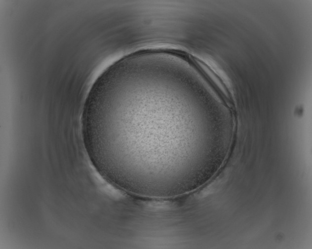 X0000092291189200709281300