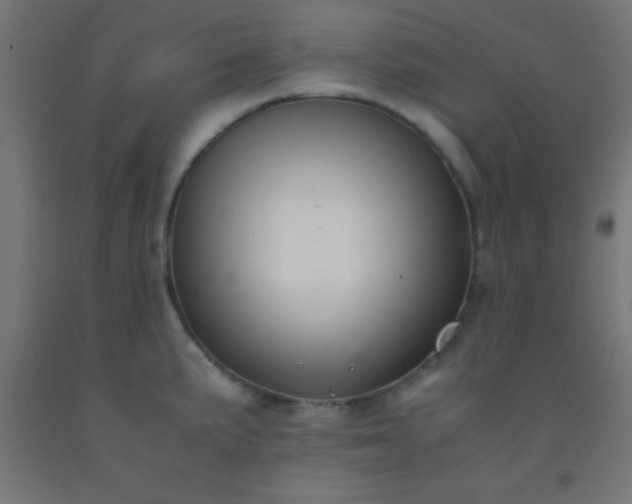 X0000092291191200709281300