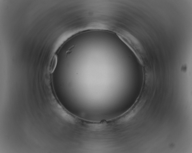 X0000092291192200709281300