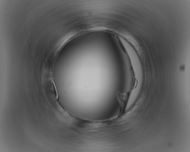 X0000092291193200709281259